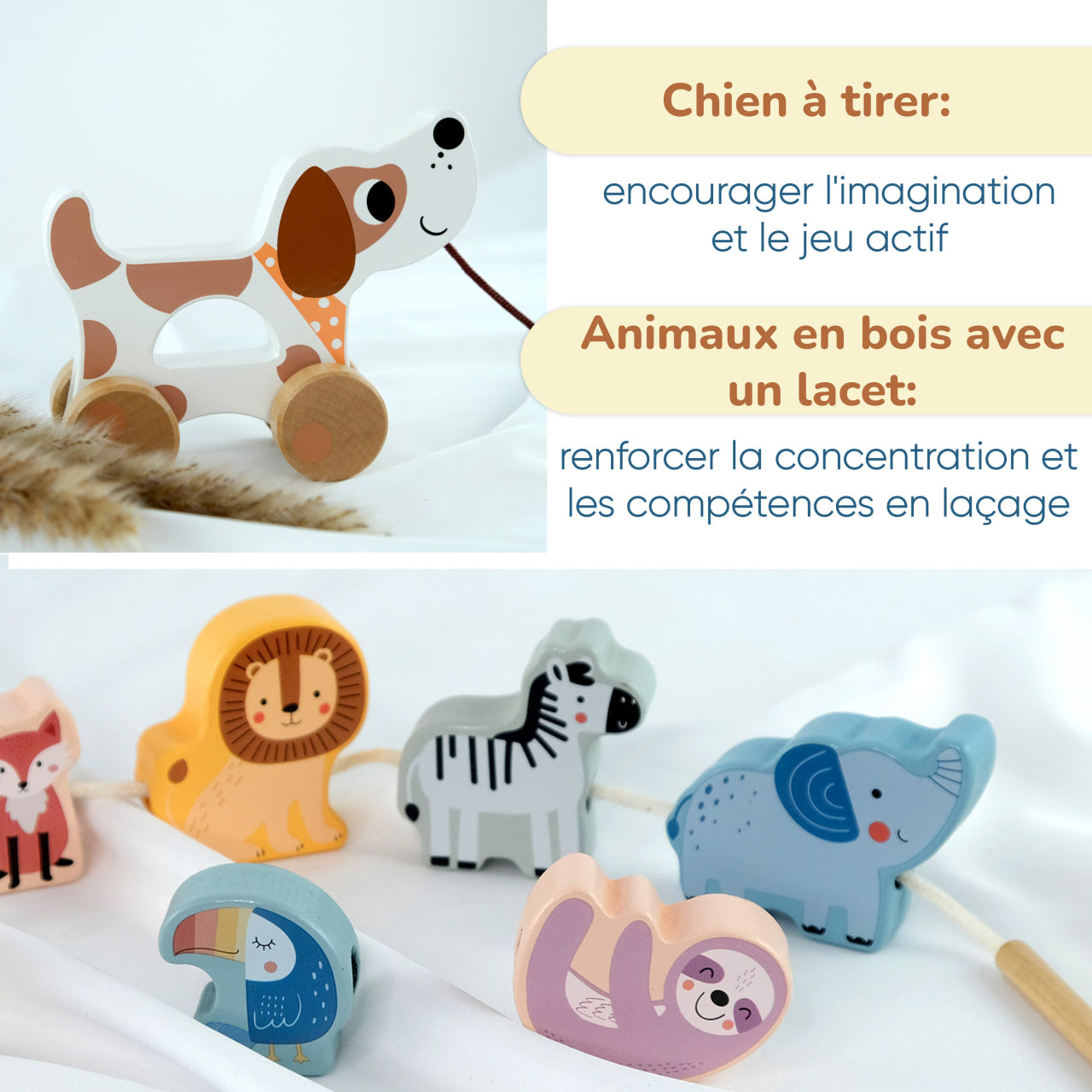 Coffret de Jeu Montessori - ensemble pour les enfants de 18 à 24